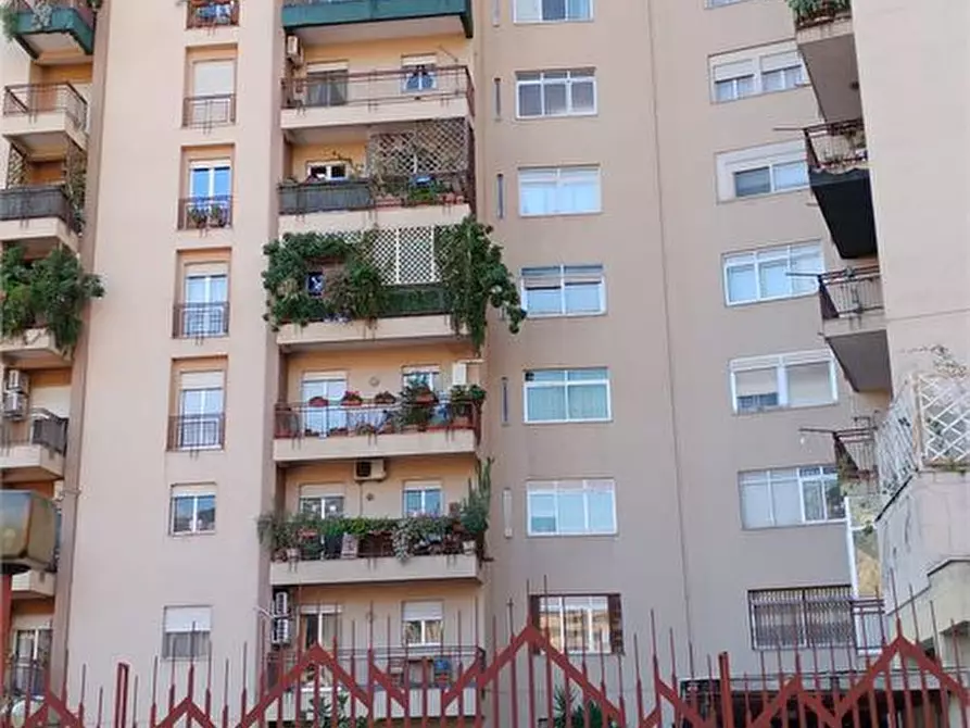 appartamento in affitto a Palermo in zona Centro storico