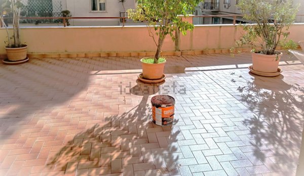 appartamento in affitto a Palermo