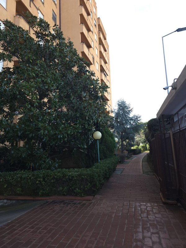 appartamento in affitto a Palermo in zona Uditore