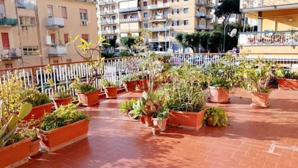 appartamento in affitto a Palermo in zona Malaspina/Palagonia
