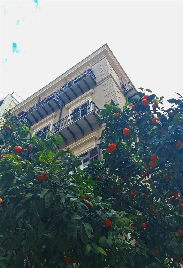 negozio in affitto a Palermo in zona Politeama