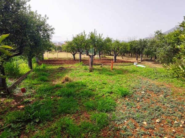 terreno agricolo in affitto a Palermo in zona Cruillas