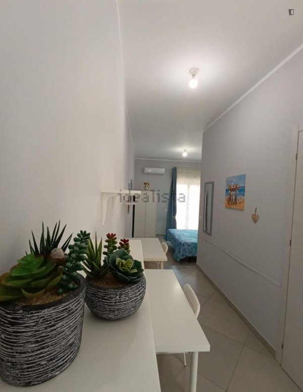 appartamento in affitto a Palermo