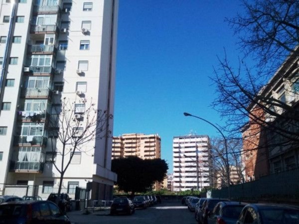 immagine annuncio 0 di 15