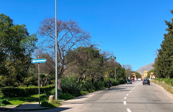 locale commerciale in affitto a Palermo in zona Pallavicino