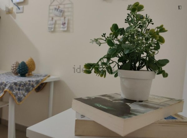 appartamento in affitto a Palermo