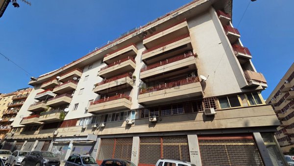 appartamento in affitto a Palermo