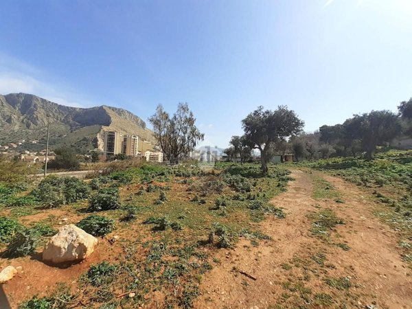 terreno agricolo in affitto a Palermo in zona Tommaso Natale