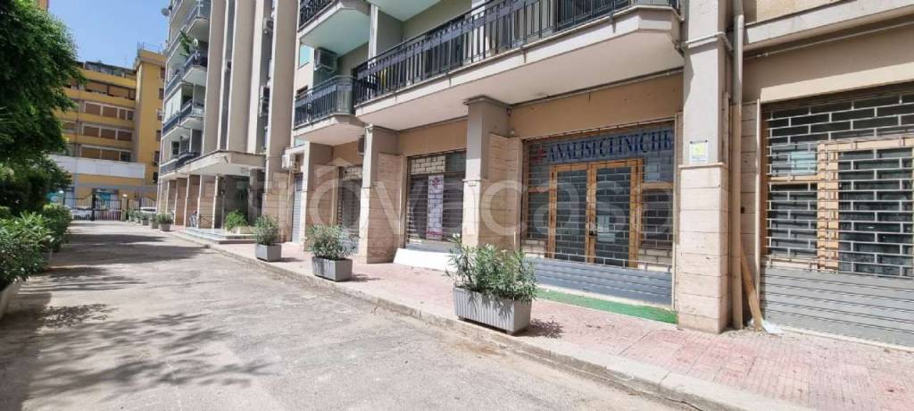 trivano in affitto a Palermo in zona Uditore