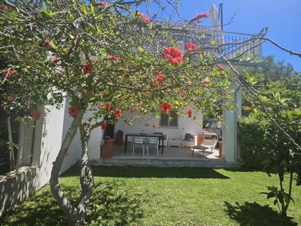 appartamento in affitto a Palermo in zona Partanna