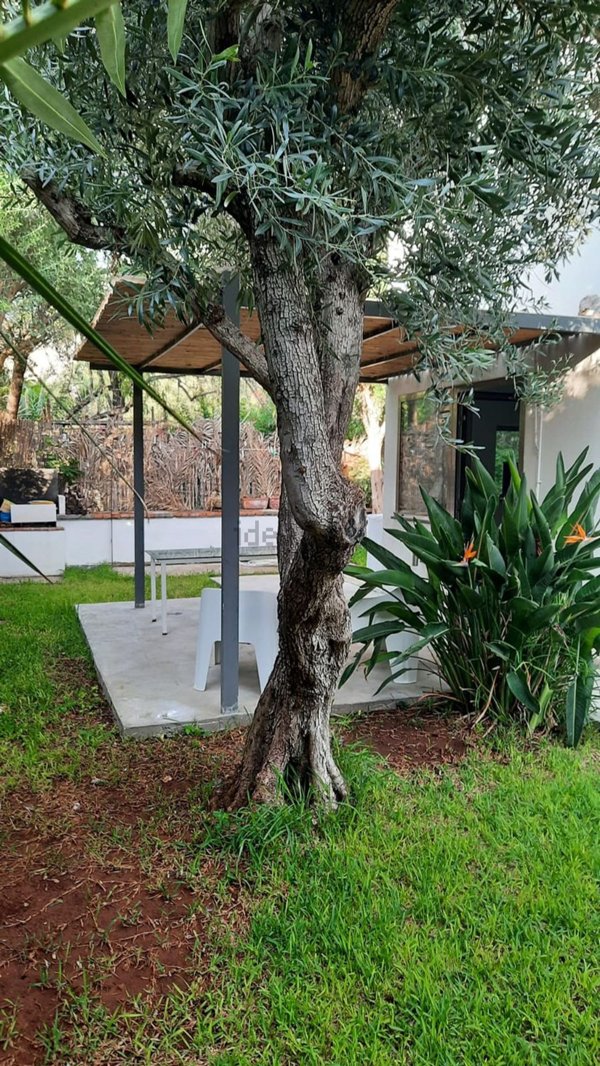 appartamento in affitto a Palermo in zona Mondello