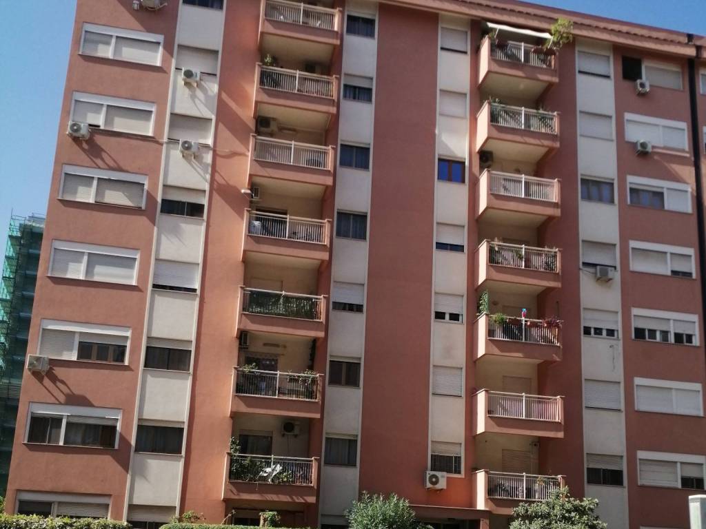 appartamento in affitto a Palermo in zona San Lorenzo