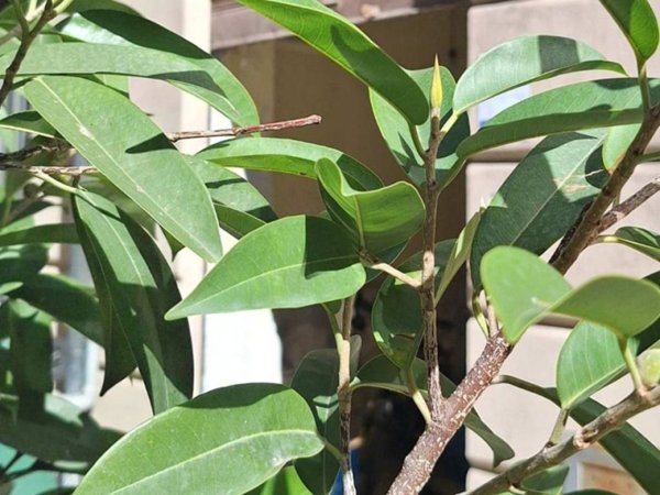 negozio in affitto a Palermo