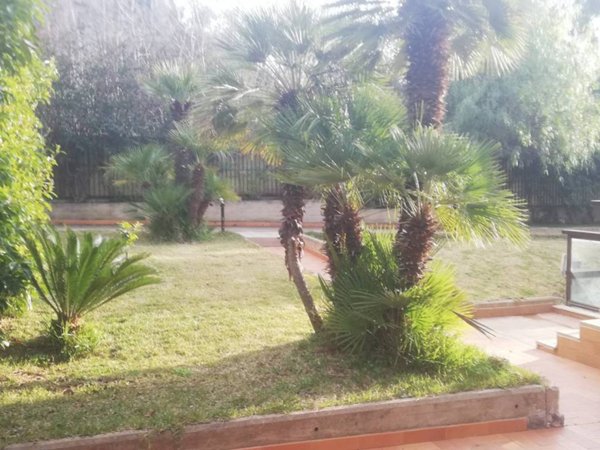 casa indipendente in affitto a Palermo in zona Mondello