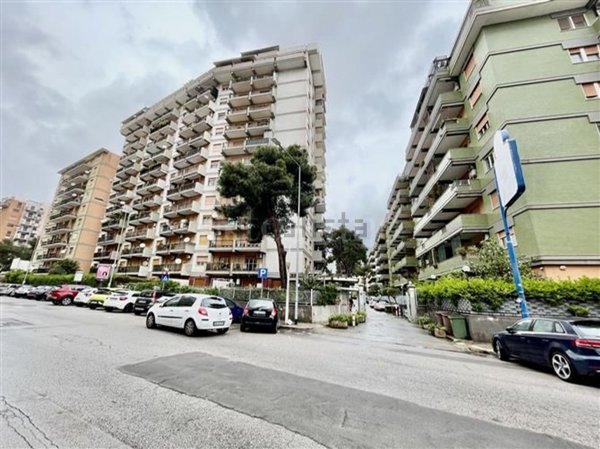 appartamento in affitto a Palermo