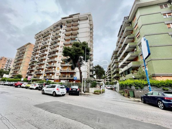 appartamento in affitto a Palermo