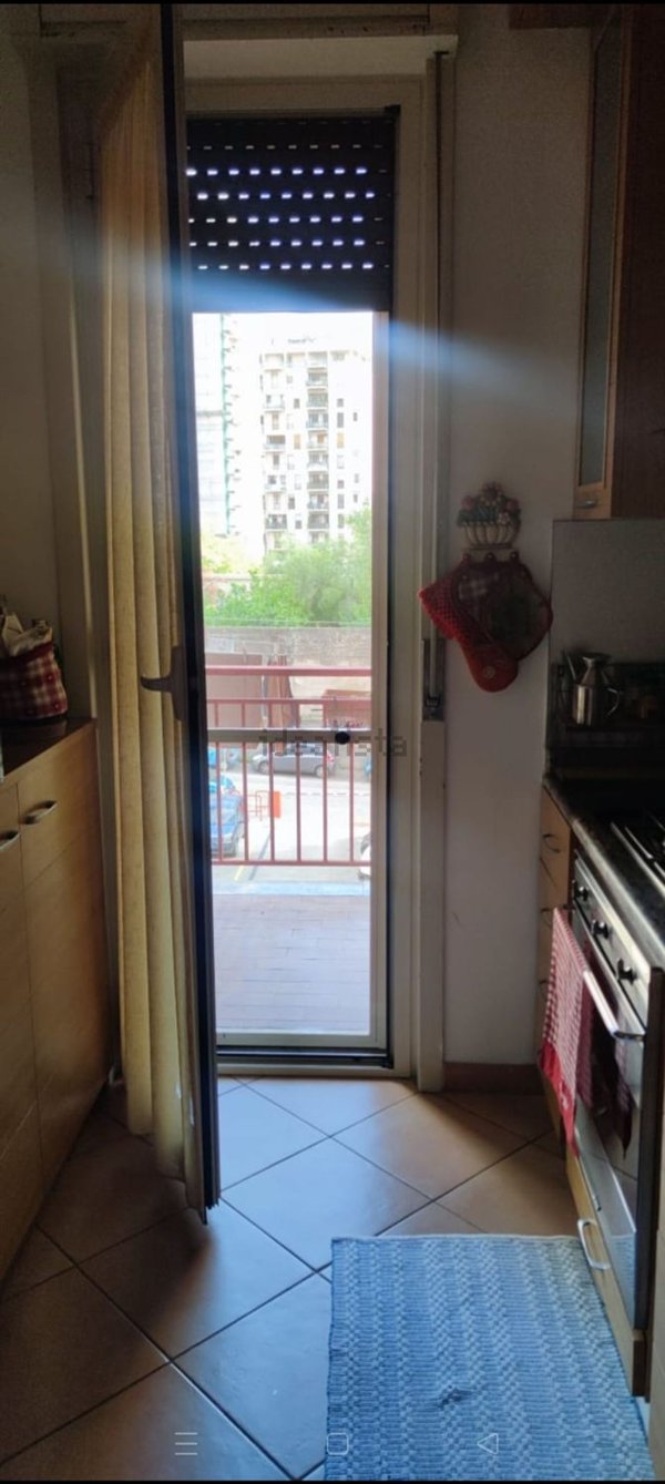 appartamento in affitto a Palermo