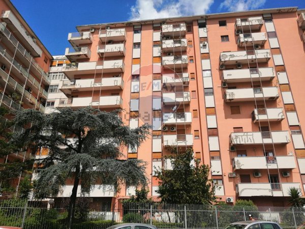 appartamento in affitto a Palermo in zona Uditore