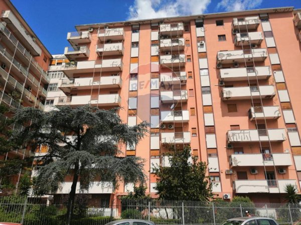 appartamento in affitto a Palermo in zona Uditore