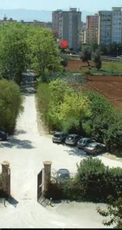 quadrivano in affitto a Palermo in zona San Lorenzo