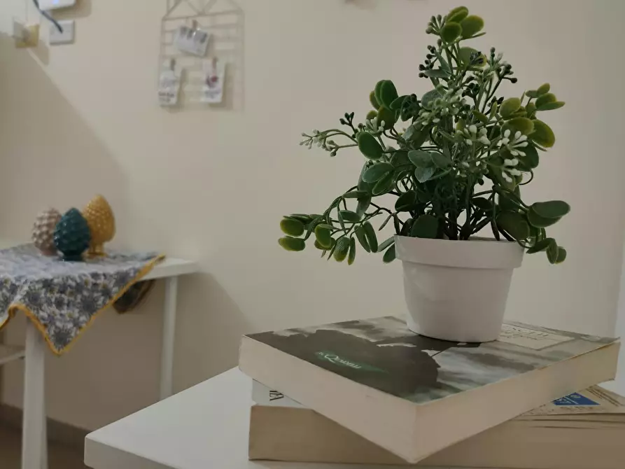 appartamento in affitto a Palermo