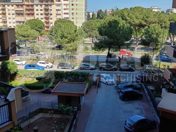 appartamento in affitto a Palermo in zona Borgo Nuovo
