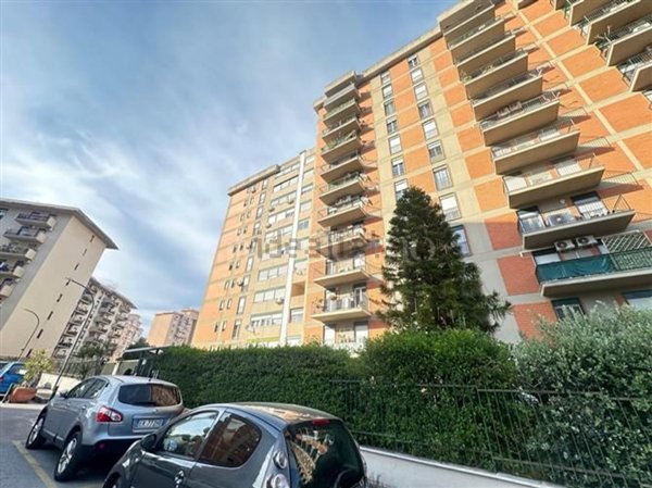 appartamento in affitto a Palermo