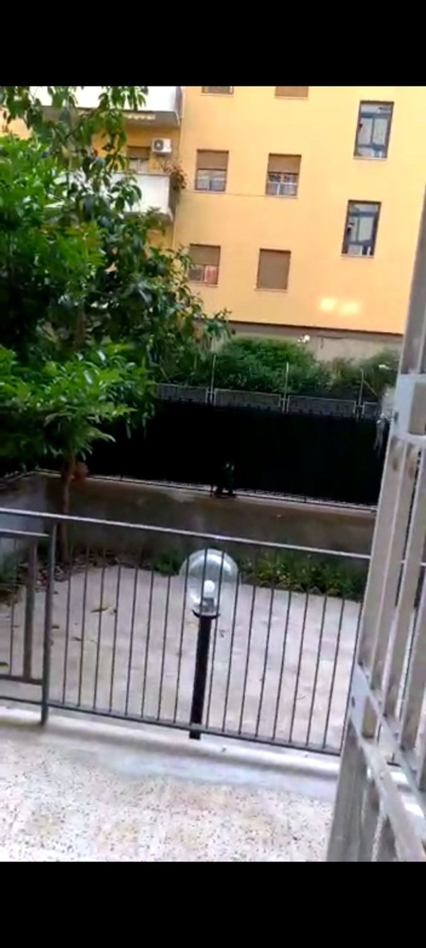 appartamento in affitto a Palermo in zona Libertà