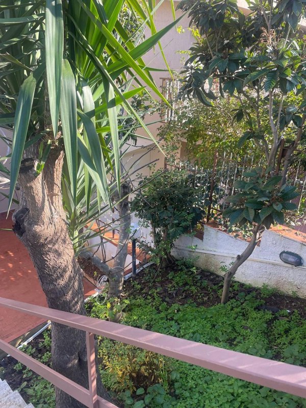 appartamento in affitto a Palermo in zona Partanna