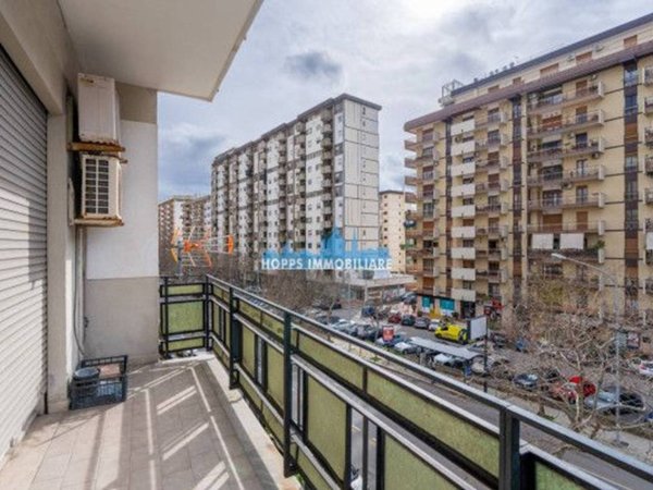 appartamento in affitto a Palermo in zona San Lorenzo