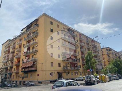 appartamento in affitto a Palermo in zona Montegrappa / Santa Rosalia