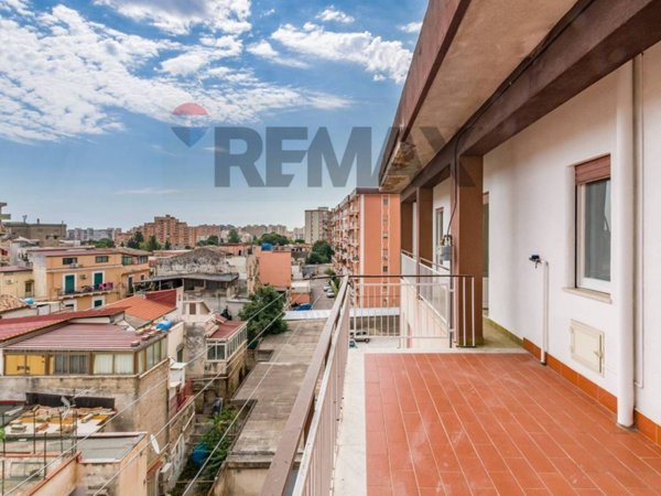 appartamento in affitto a Palermo in zona Borgo Nuovo