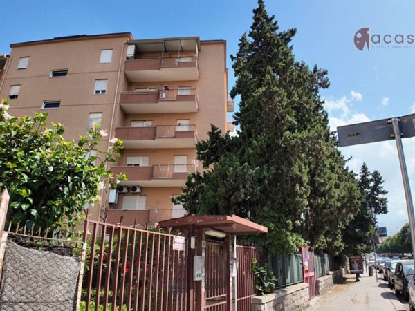 negozio in affitto a Palermo in zona Montegrappa / Santa Rosalia
