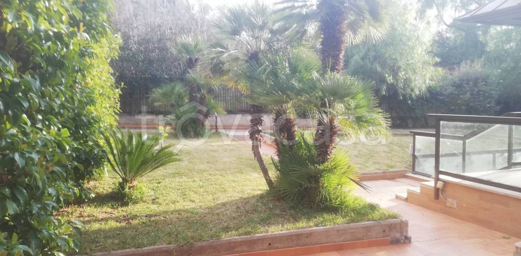 casa indipendente in affitto a Palermo in zona Mondello