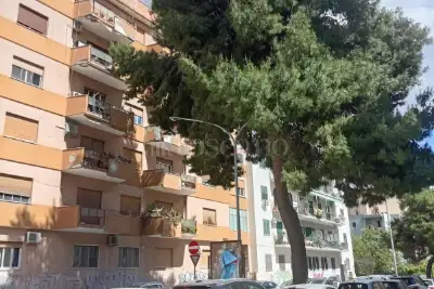 appartamento in affitto a Palermo