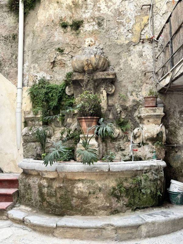 appartamento in affitto a Palermo in zona Centro storico