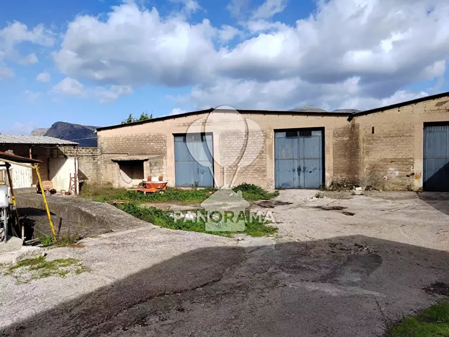 casa indipendente in affitto a Partinico