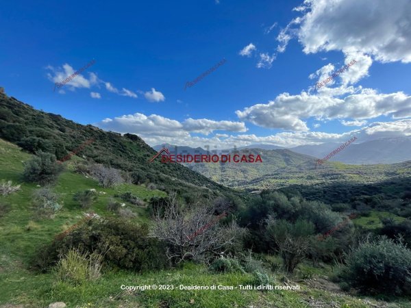 terreno edificabile in affitto a Pollina