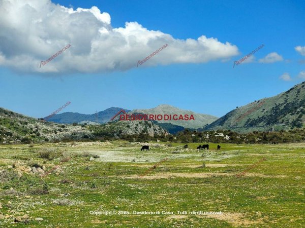 terreno agricolo in affitto a Torretta