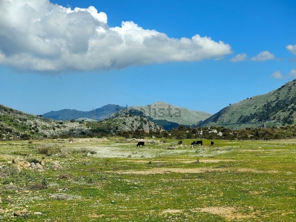 terreno agricolo in affitto a Torretta