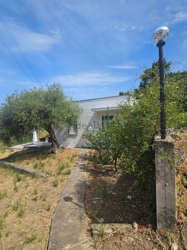casa indipendente in affitto a Trabia