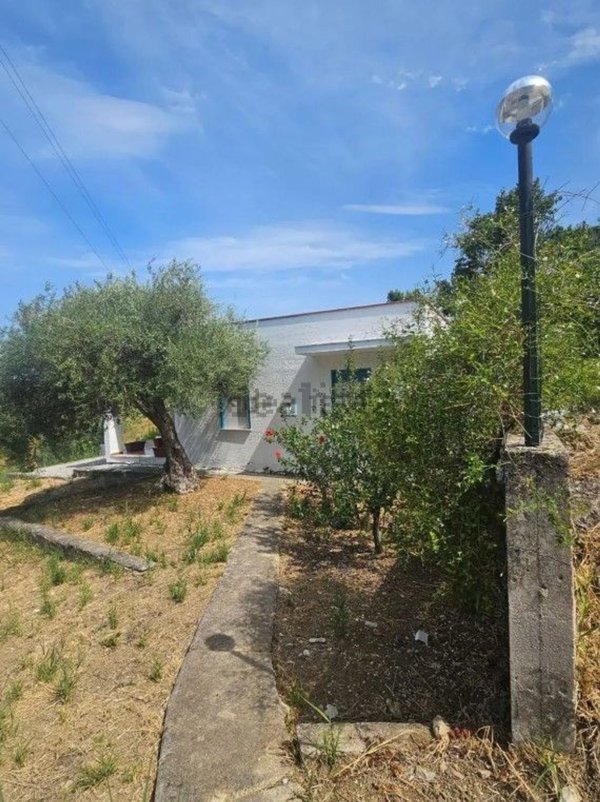 casa indipendente in affitto a Trabia