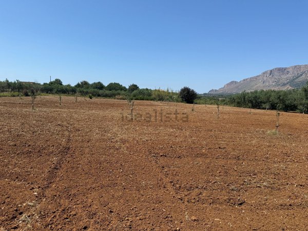 appartamento in affitto a Trappeto