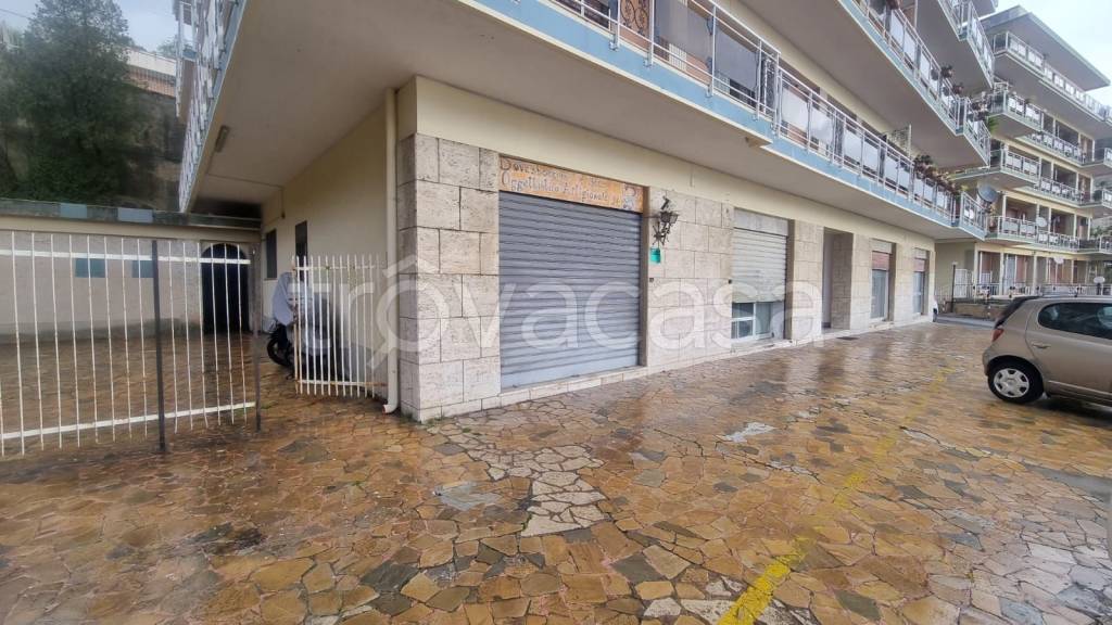trivano in affitto a Messina