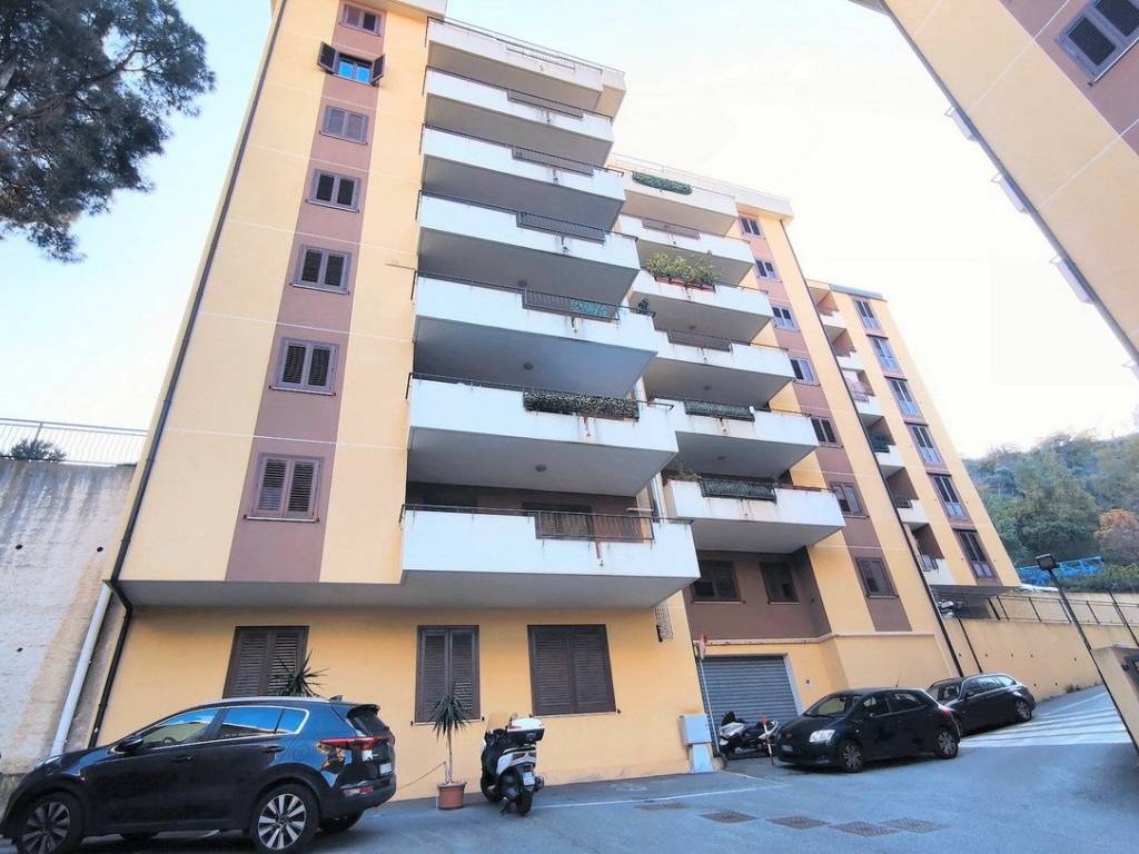 appartamento in affitto a Messina