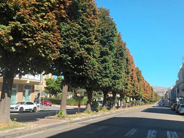appartamento in affitto a Messina