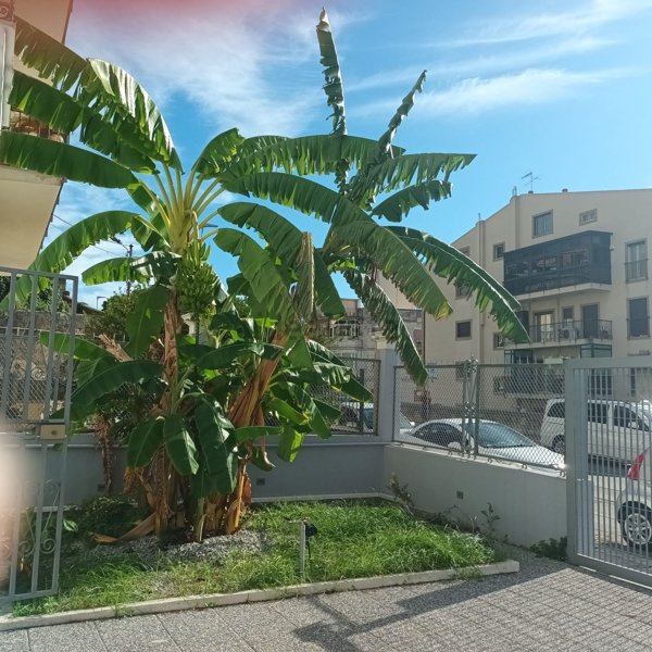 casa indipendente in affitto a Messina in zona Gravitelli