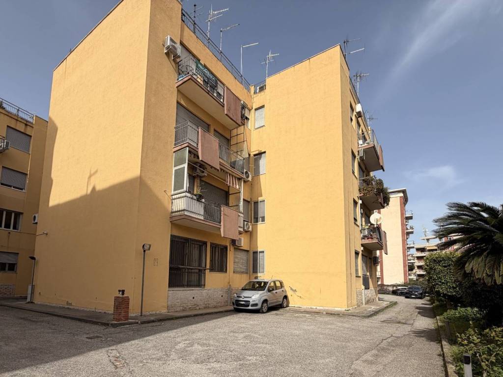 appartamento in affitto a Messina