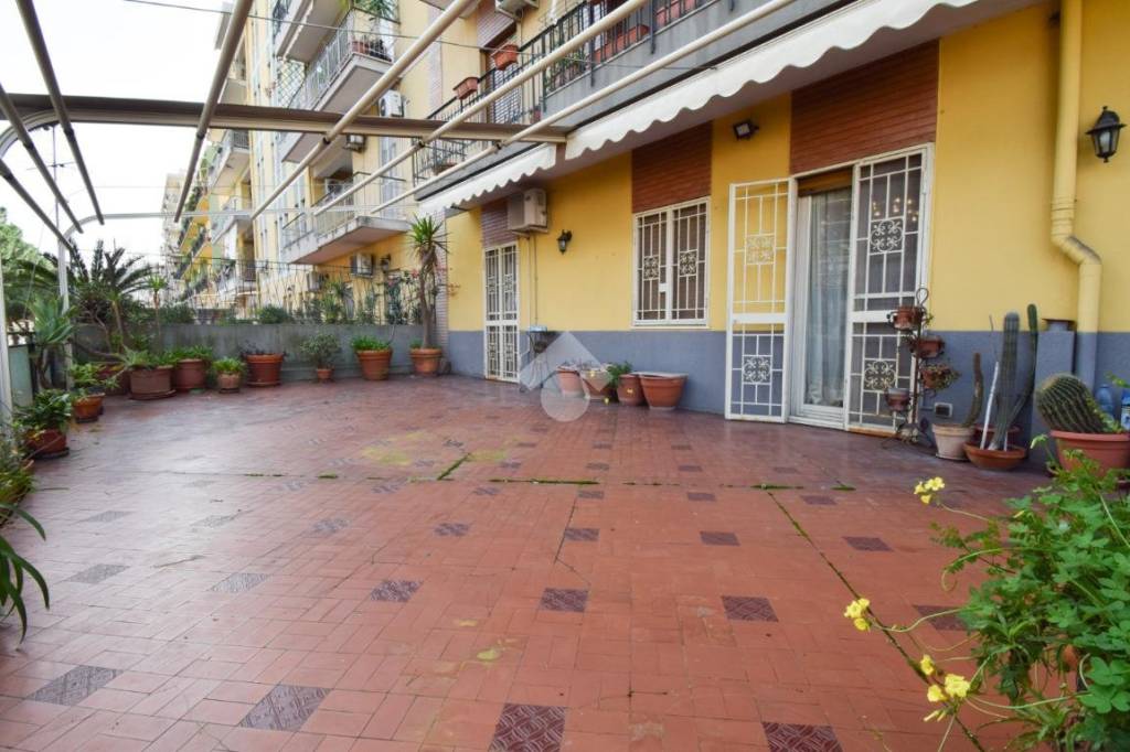 appartamento in affitto a Messina