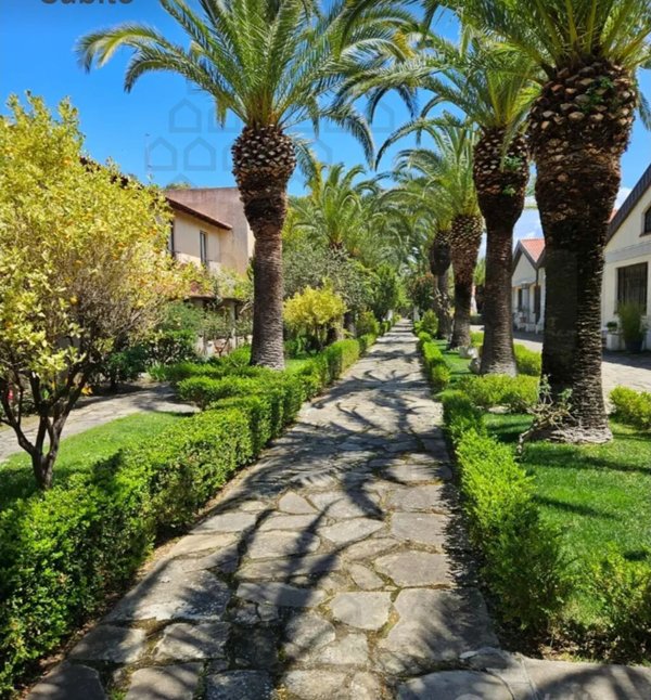 appartamento in affitto ad Oliveri